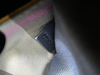 BURBERRY Paddy Super Exploded Check Canvas Vertical Camera Bag ADI1190