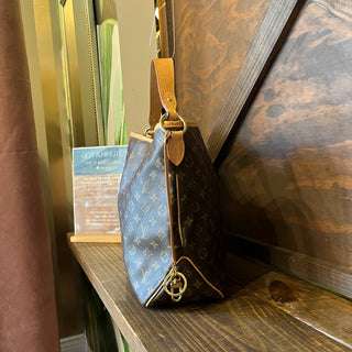 LOUIS VUITTON Delightful Brown Monogram Canvas Hobo