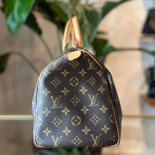 LOUIS VUITTON Speedy 30 Monogram