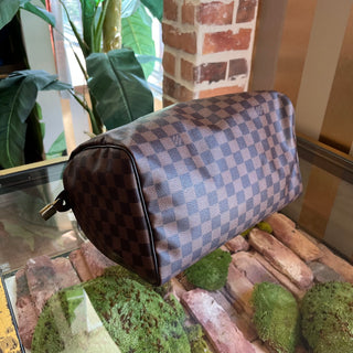 LOUIS VUITTON Speedy 30 Damier Ebene Canvas Satchel