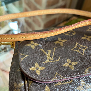 LOUIS VUITTON Favorite Brown Monogram Canvas Crossbody