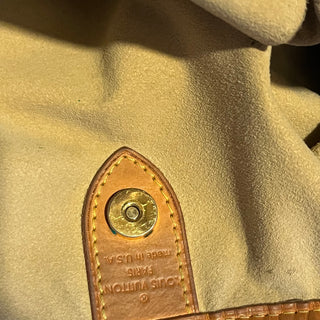 LOUIS VUITTON Galleria PM Brown Monogram Canvas Hobo Bag