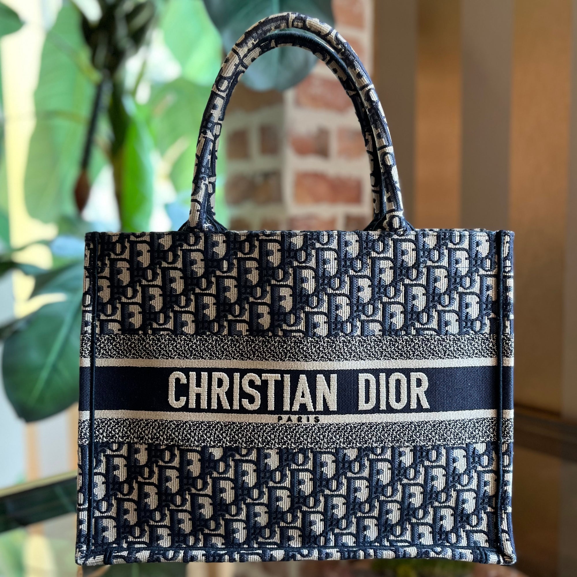 Christian Dior Blue Oblique Canvas Medium Book Tote