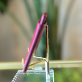 LOUIS VUITTON Red Epi Card Case