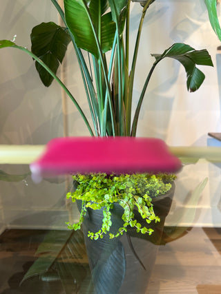 LOUIS VUITTON Red Epi Card Case