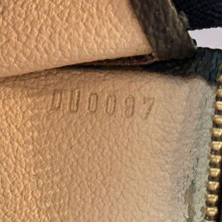 LOUIS VUITTON Monogram Toiletry 19