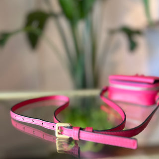 DIOR Goatskin Leather Mini Saddle Belt Pouch Bag