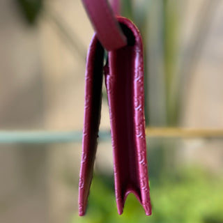 GUCCI Red Microguccissima Wallet On Strap