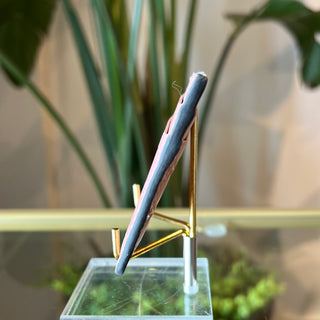 GUCCI Pink Guccissima Card Case