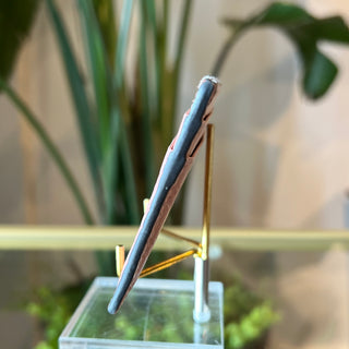 GUCCI Pink Guccissima Card Case