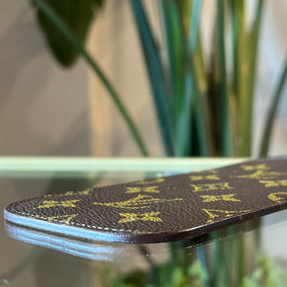 LOUIS VUITTON Monogram Sunglasses Case