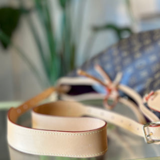 LOUIS VUITTON Monogram Carry All MM