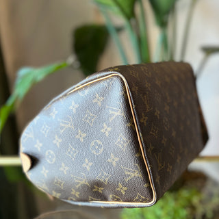 LOUIS VUITTON Speedy 30 Monogam Canvas Satchel Bag