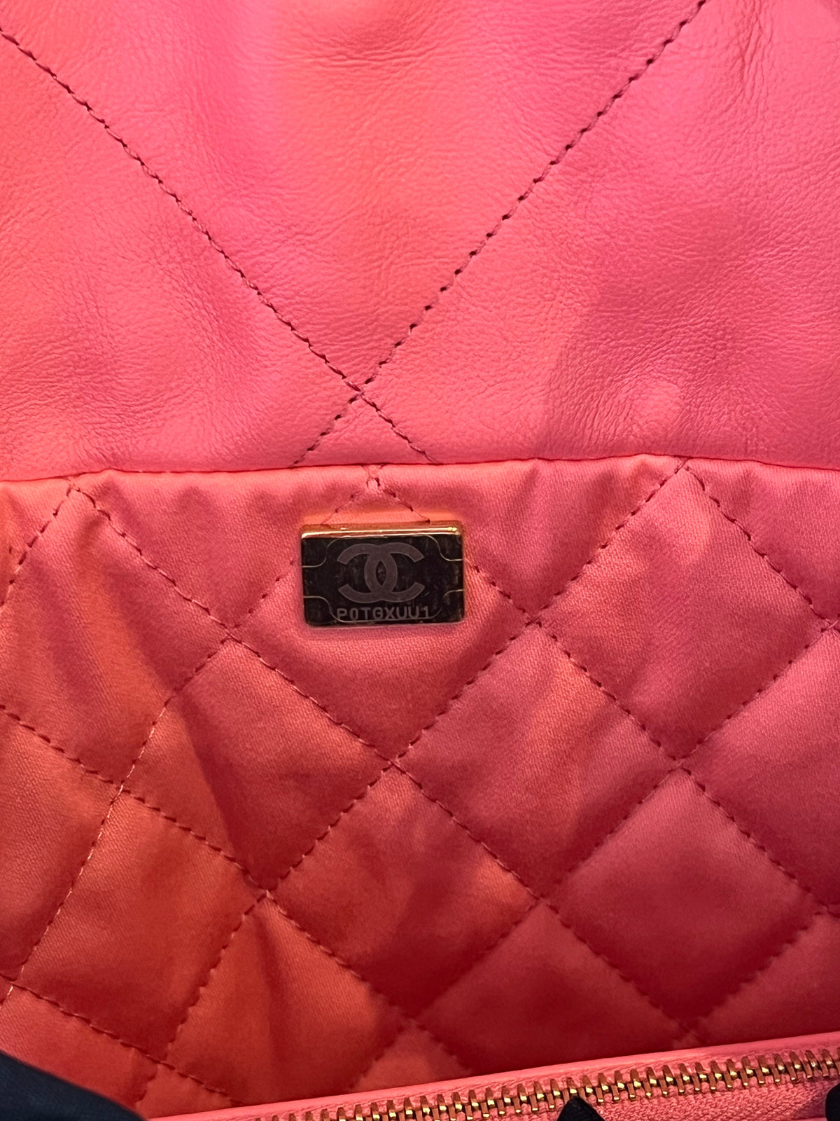 CHANEL Coral Pink 22 Handbag