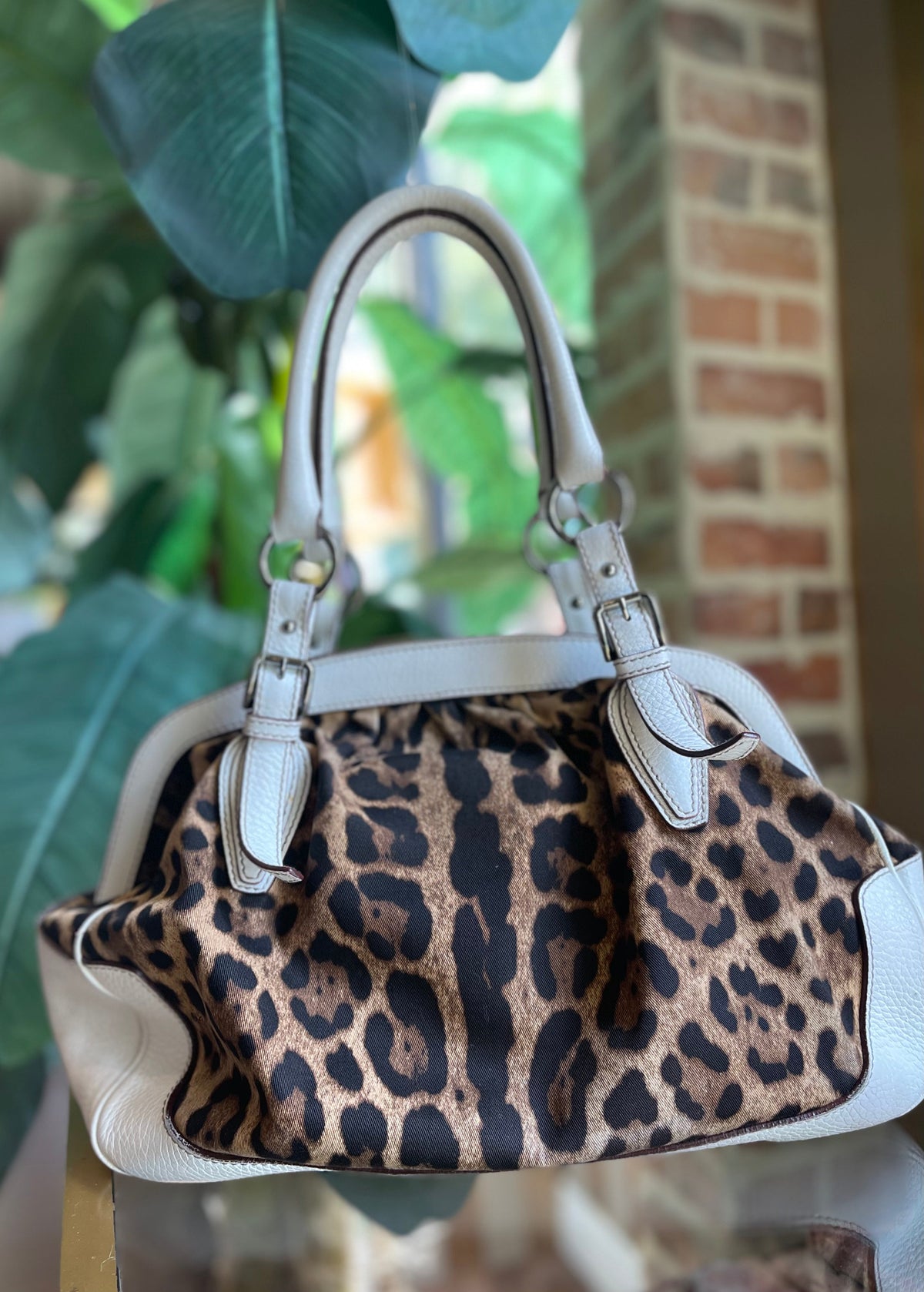 DOLCE AND GABBANA Leopard Print with White Trim Satchel