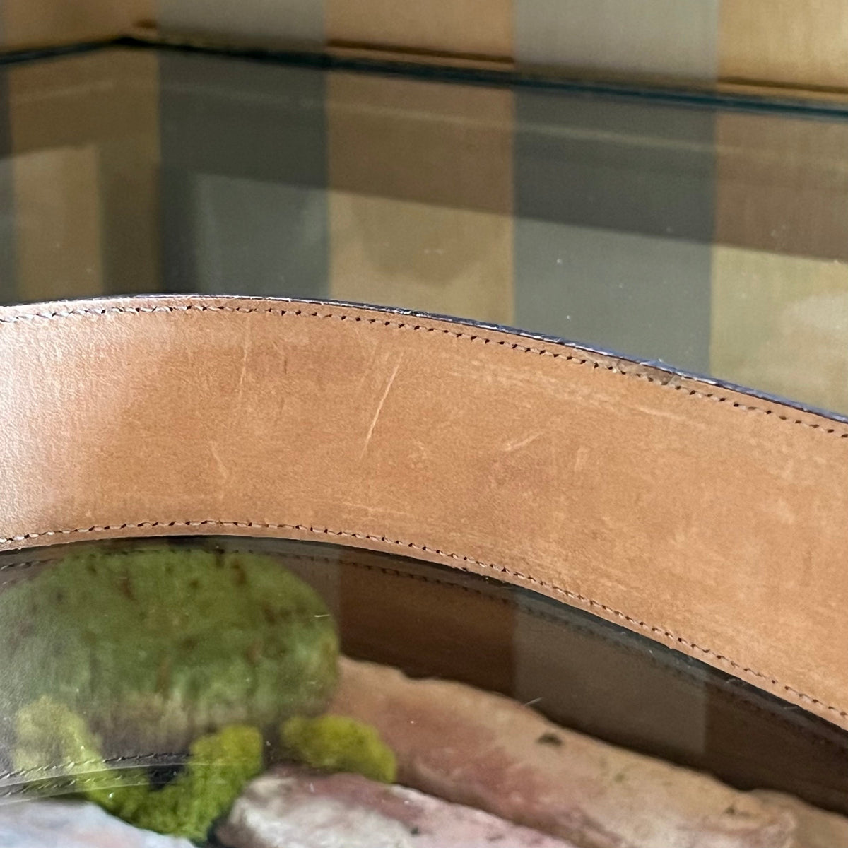 GUCCI Beige GG Canvas Brown Leather Trim Belt Sz 85/34(6US)