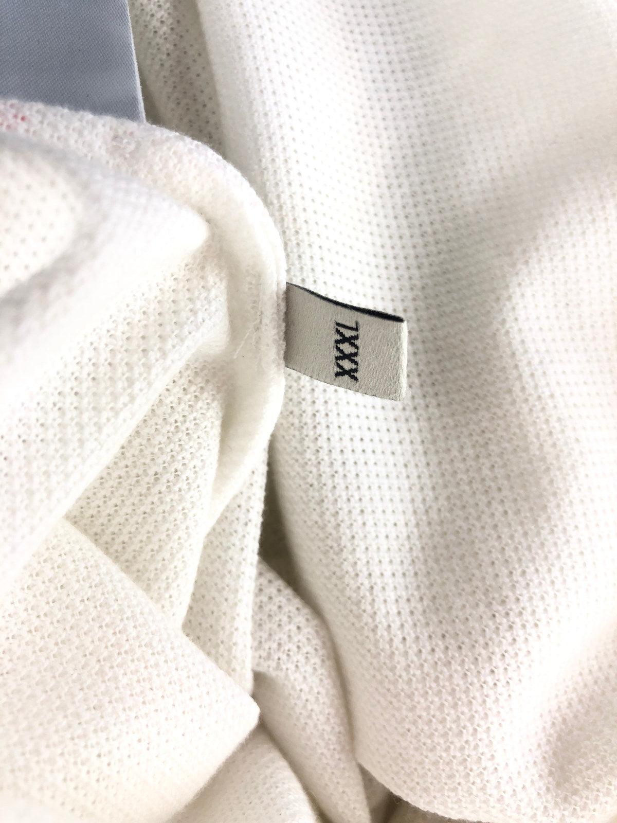 GUCCI White Cotton Web Collar Polo Shirt